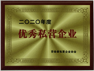 施美图优秀私营企业